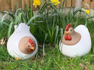 The Coop - Holsworthy - 3