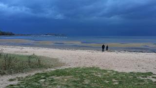 Hotel Zierow - Urlaub an der Ostsee - 4