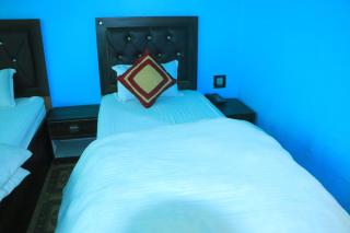 Hotel Diamond - Bharatpur - 8