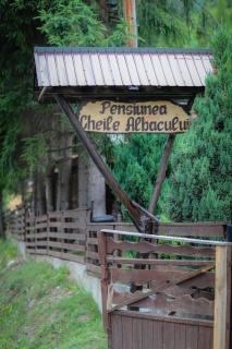 Pensiunea Cheile Albacului - Albac - 5