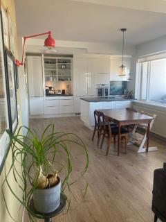 Bright and spacious 2 bedroom apartment in Rvk - Reykjavik - 0