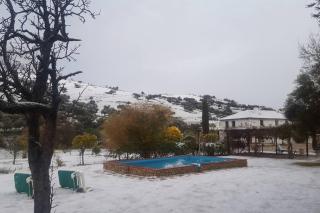 Cortijo Grazalema piscina 5 Hbts con baño AC - Grazalema - 8