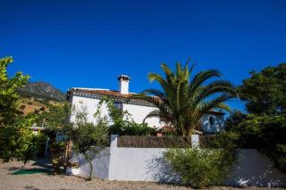 Cortijo Grazalema piscina 5 Hbts con baño AC - Grazalema - 4