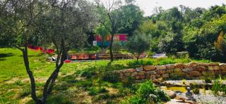 Roulotte Bohemian Lover in Provence, Valensole - Valensole - 9