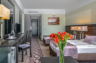 Gunaras Resort Spa Hotel - Dombóvár - 9