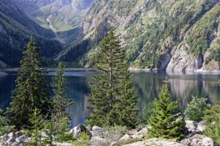 La Cabane des 2 Sœurs (chalet 4-6 personnes) - - 9