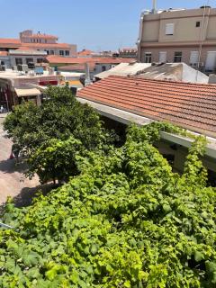 City Apartment Home - Chios - 7