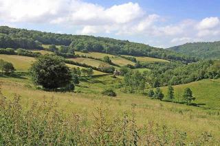 The Rookery Cottage - Newland - 5