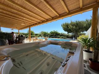 White Pearl Villa Naxos with Private Swimming Pool - Naxos Chora - 8