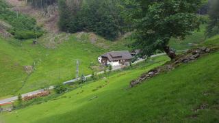 Bauernhaus im Münstertal - Münstertal - 4