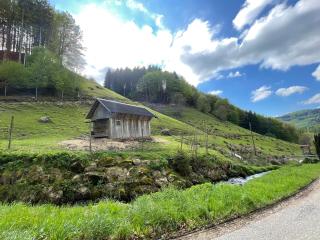 Bauernhaus im Münstertal - Münstertal - 3