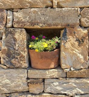 Countryside Home I Naxos - 9