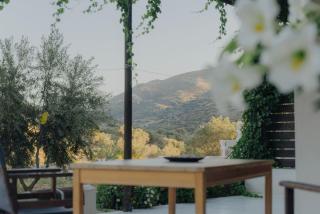 Countryside Home I Naxos - Naxos Chora - 1