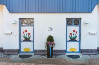 Sonnenschein - Zingst - 7