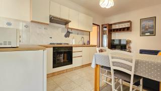William - Novigrad - 9