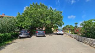 William - Novigrad - 1