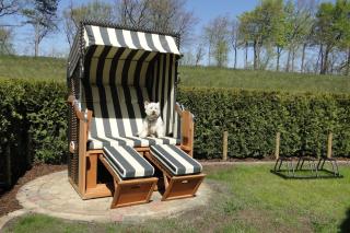 Seekieker - Zingst - 8