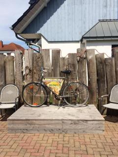 Strandmuschel - Zingst - 9