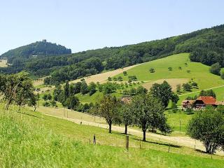 Ferienwohnung Bannstein Lahr - Lahr - 5
