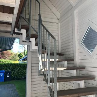 Kranich - Zingst - 9