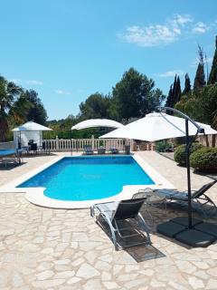 Las Palmeras - 6