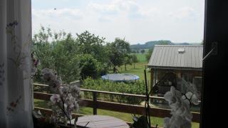 Wohnung Aal Obstbeem in Rommersheim mit Garten und Grill - Rommersheim - 8