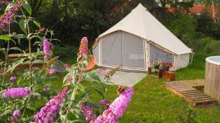 Bell Tent in een Voedselbos - Nederweert-Eind - 8
