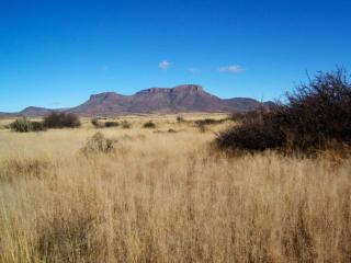 Erin Farmhouse & Cottages - Middelburg - 6