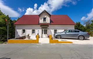 Lovely Home In Zlobin With Sauna - Zlobin - 0