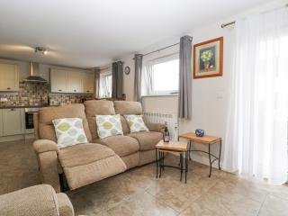 Top Lodge - Llanvair Discoed - 5