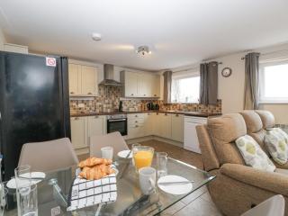 Top Lodge - Llanvair Discoed - 3