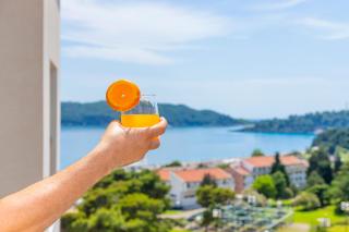 ID LUX APARTMENTS - Bečići - 6