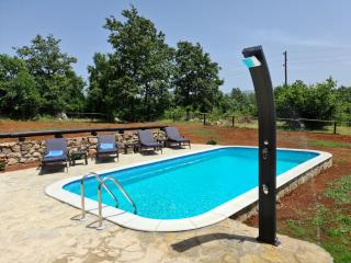 SPA HOLIDAY HOUSE REŽEK - Lovinac - Lovinac - 2