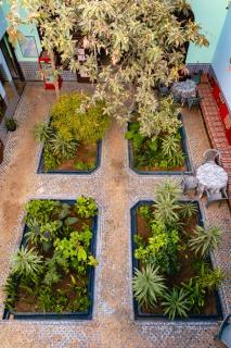 Auberge De Jeunesse - Rabat - 6