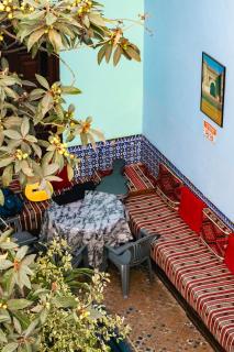 Auberge De Jeunesse - Rabat - 3