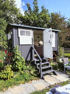 Shepherds hut with Alpaca views - Westbourne - 0
