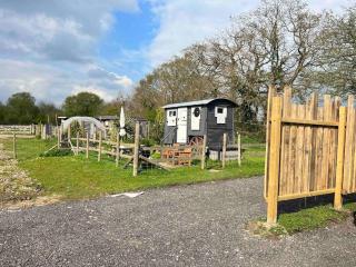 Shepherds hut with Alpaca views - Westbourne - 8