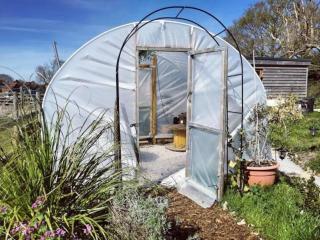 Shepherds hut with Alpaca views - Westbourne - 7