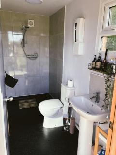 Shepherds hut with Alpaca views - Westbourne - 3