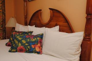 Moonrisevillas - Negril - 1