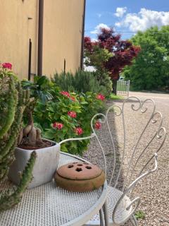 B&B L'Airone - Nogara - 1