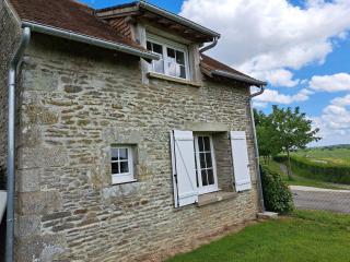 Gîte de la Gouvrie - Pacé - 1