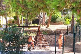 Apartmani Arta 1 - Drage - 2