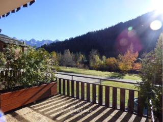 Charmant Studio Montagne Rénové, 4 Pers, Balcon Sud, Proche Centre - FR-1-458-106 - Le Grand-Bornand - 3