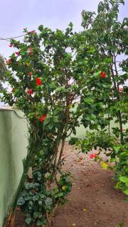 Cantinho da Cake - 3