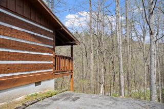 A Lover's Paradise cabin - 9