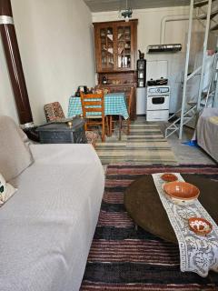 Ecological Traditional Vacation house at Platanos - Karlovasi - 8