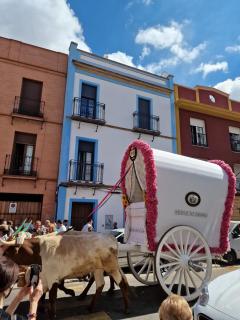 Castilla del Cachorro, Apto de 2 dormitorios en Triana - 2