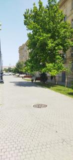 Premium housing and highly controlled area - Baku - 0