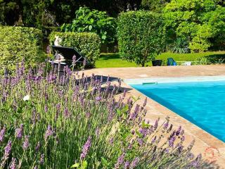 Gîte Piscine - Narbonne - 1